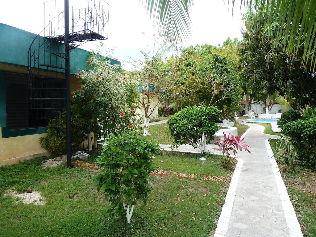 Amigos Hostel โกซูเมล ภายนอก รูปภาพ