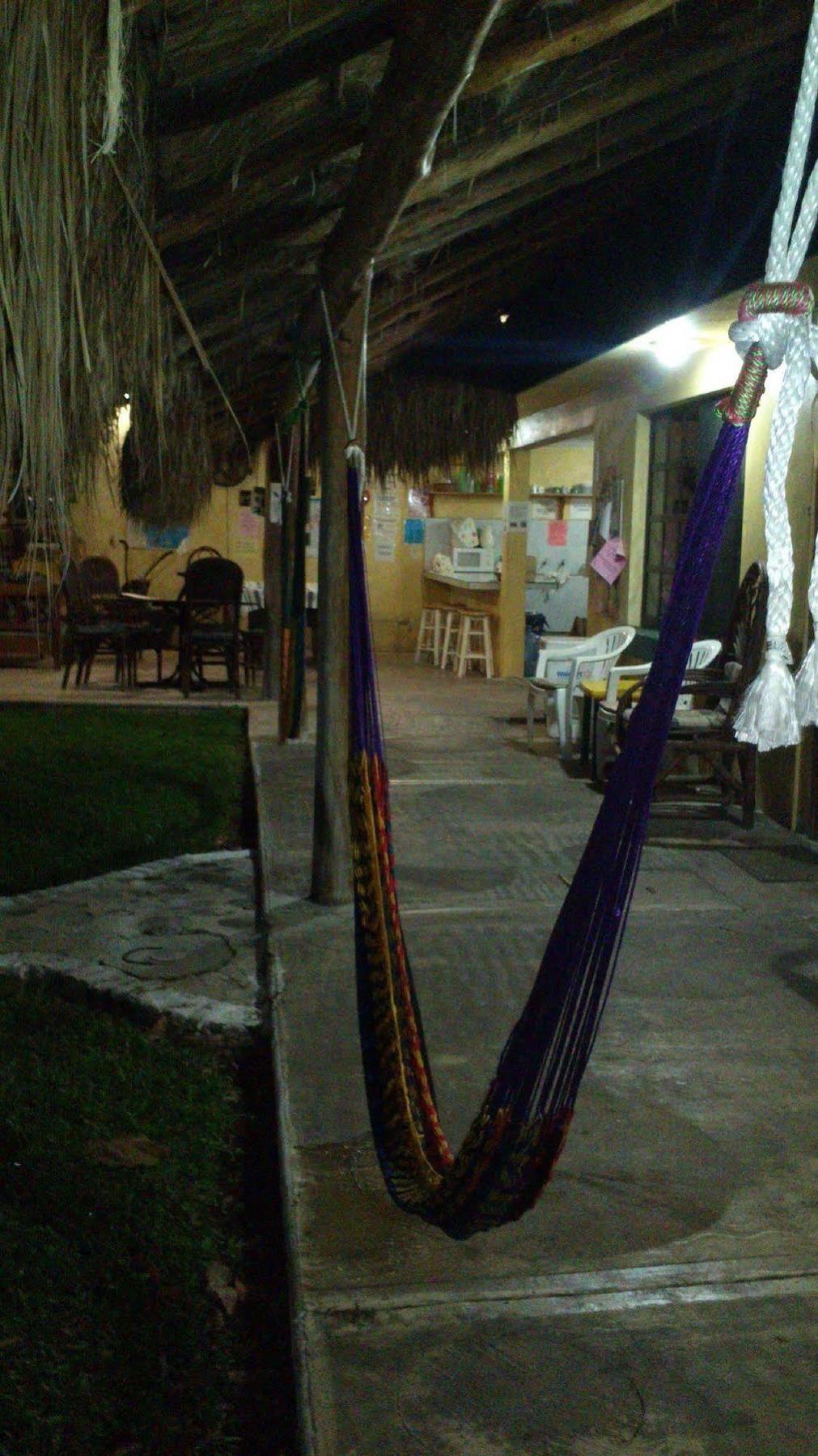 Amigos Hostel โกซูเมล ภายนอก รูปภาพ