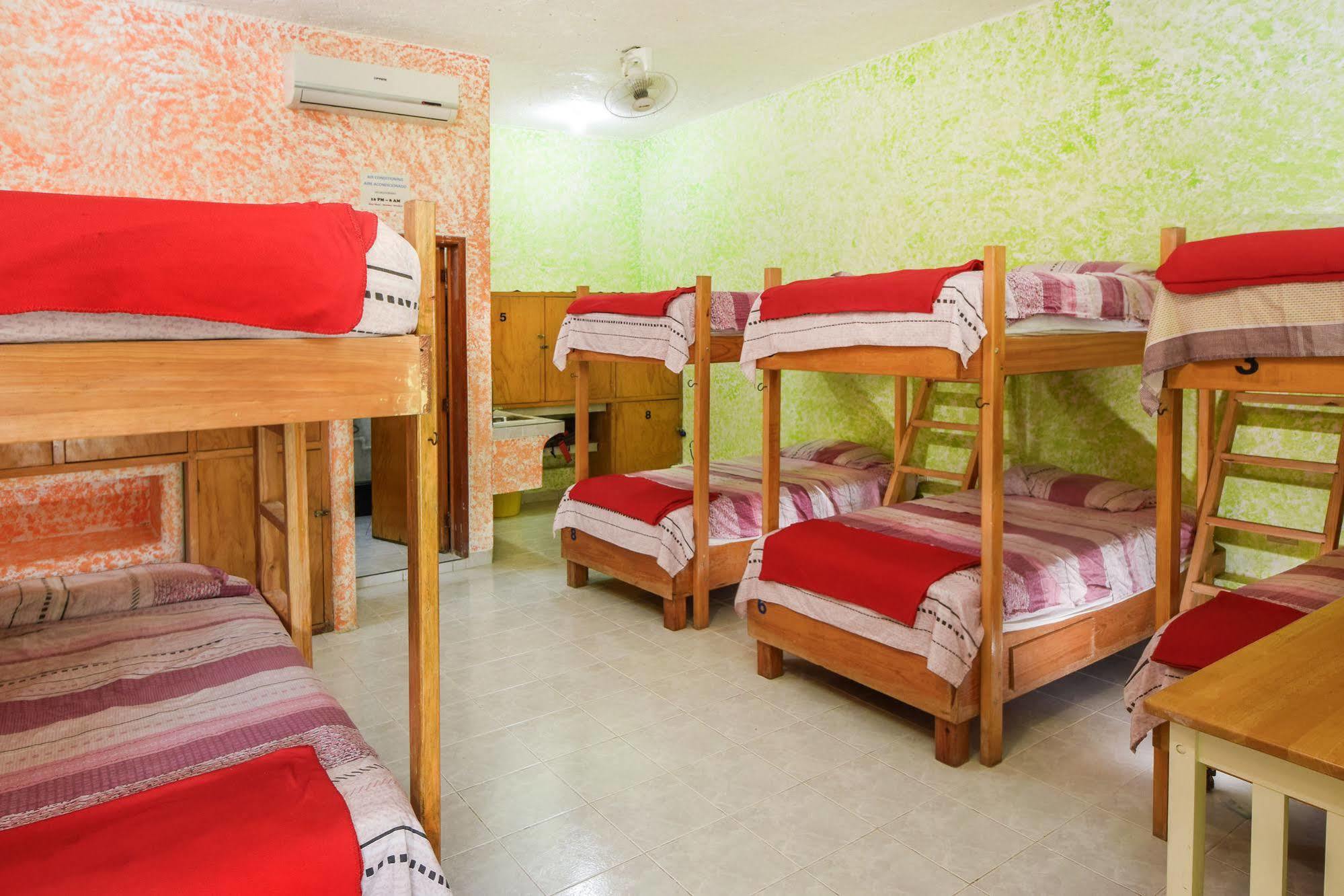 Amigos Hostel โกซูเมล เตียงโฮสเทล รูปภาพ