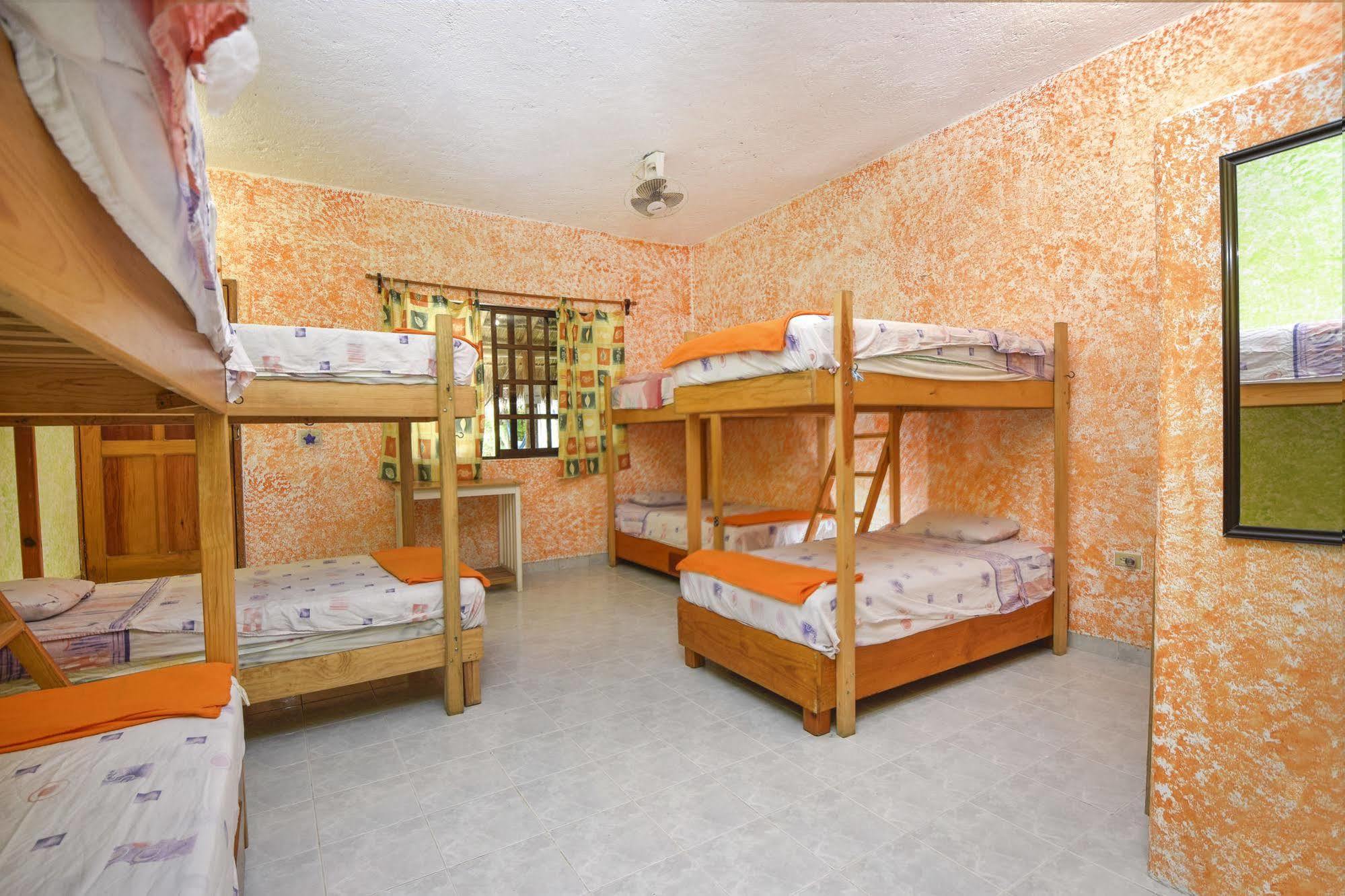 Amigos Hostel โกซูเมล ภายนอก รูปภาพ