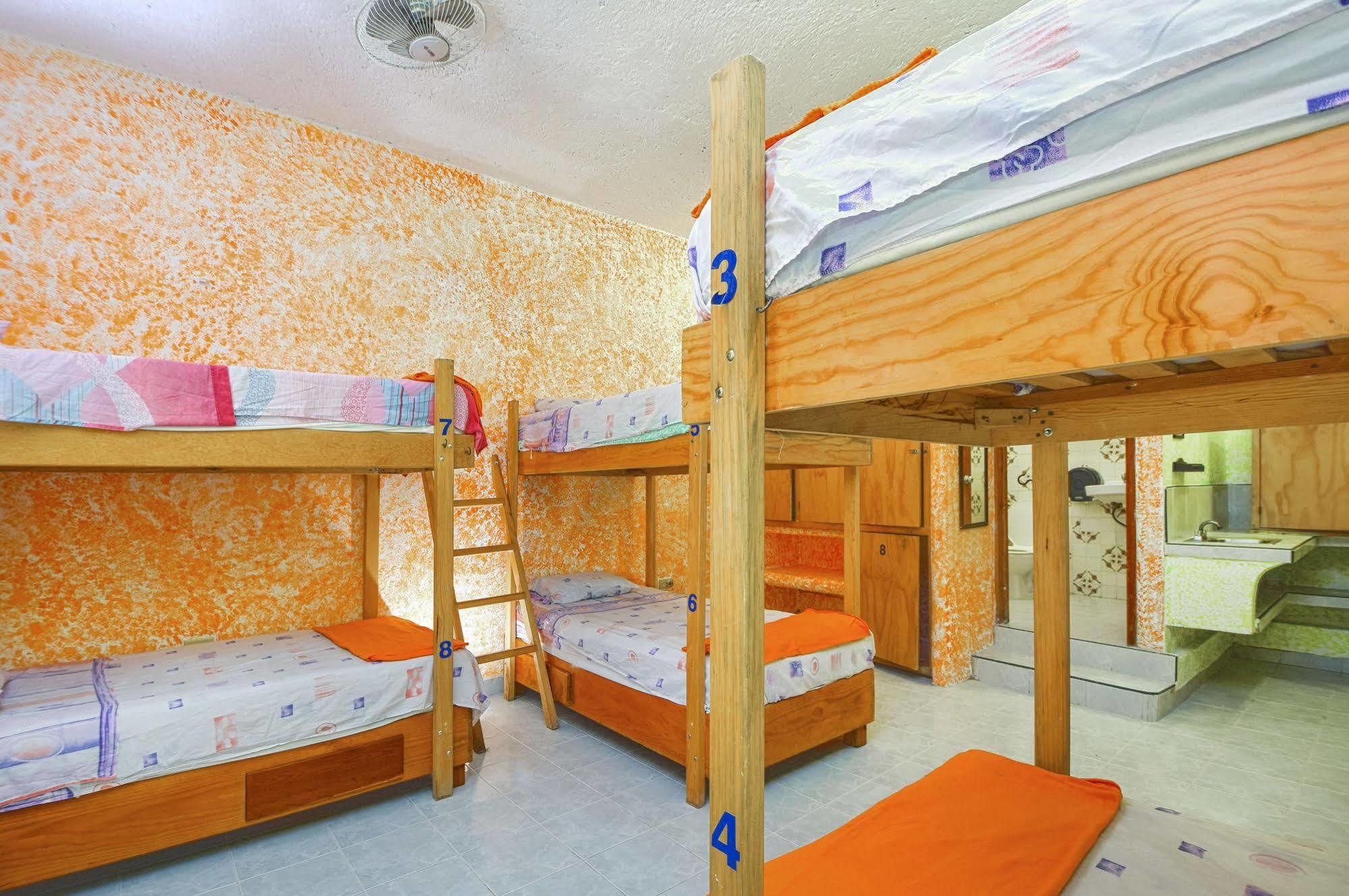 Amigos Hostel โกซูเมล ภายนอก รูปภาพ